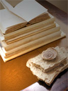 curriculum