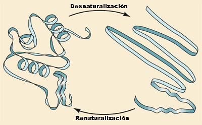 desnatura.gif