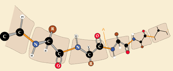 estructurap.gif