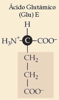 glupolarcargaacido.gif