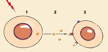 comc1.gif