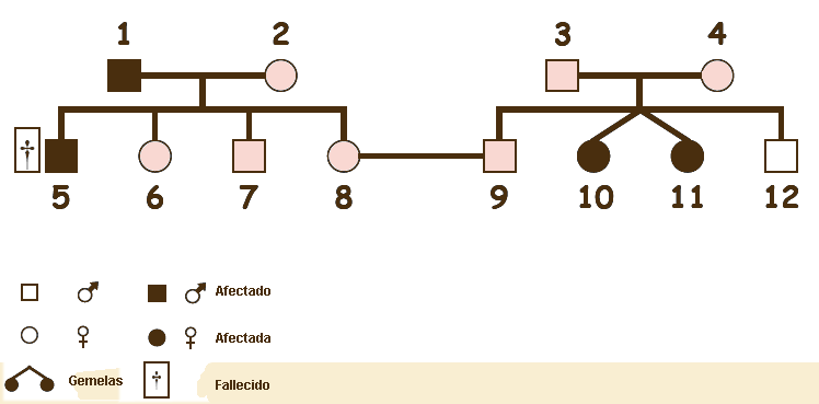 arbol-2.gif