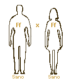 hxm1.gif