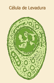 levadura.gif