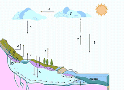 Ciclo hidrológico