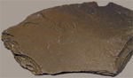 pizarra